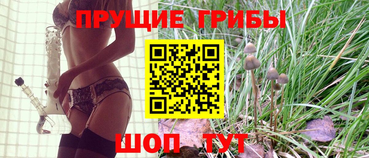 Галлюциногенные грибы мухоморы Апатиты