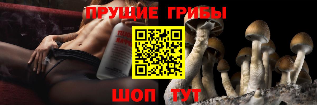 Апатиты  Псилоцибиновые грибы мицелий  Вход с VPN 